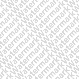 Icon of watermark